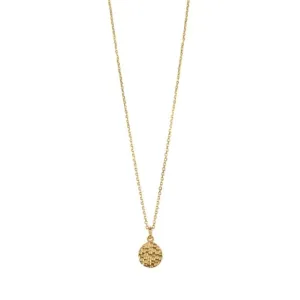 9kt Gold Hammered Disc Pendant Necklace