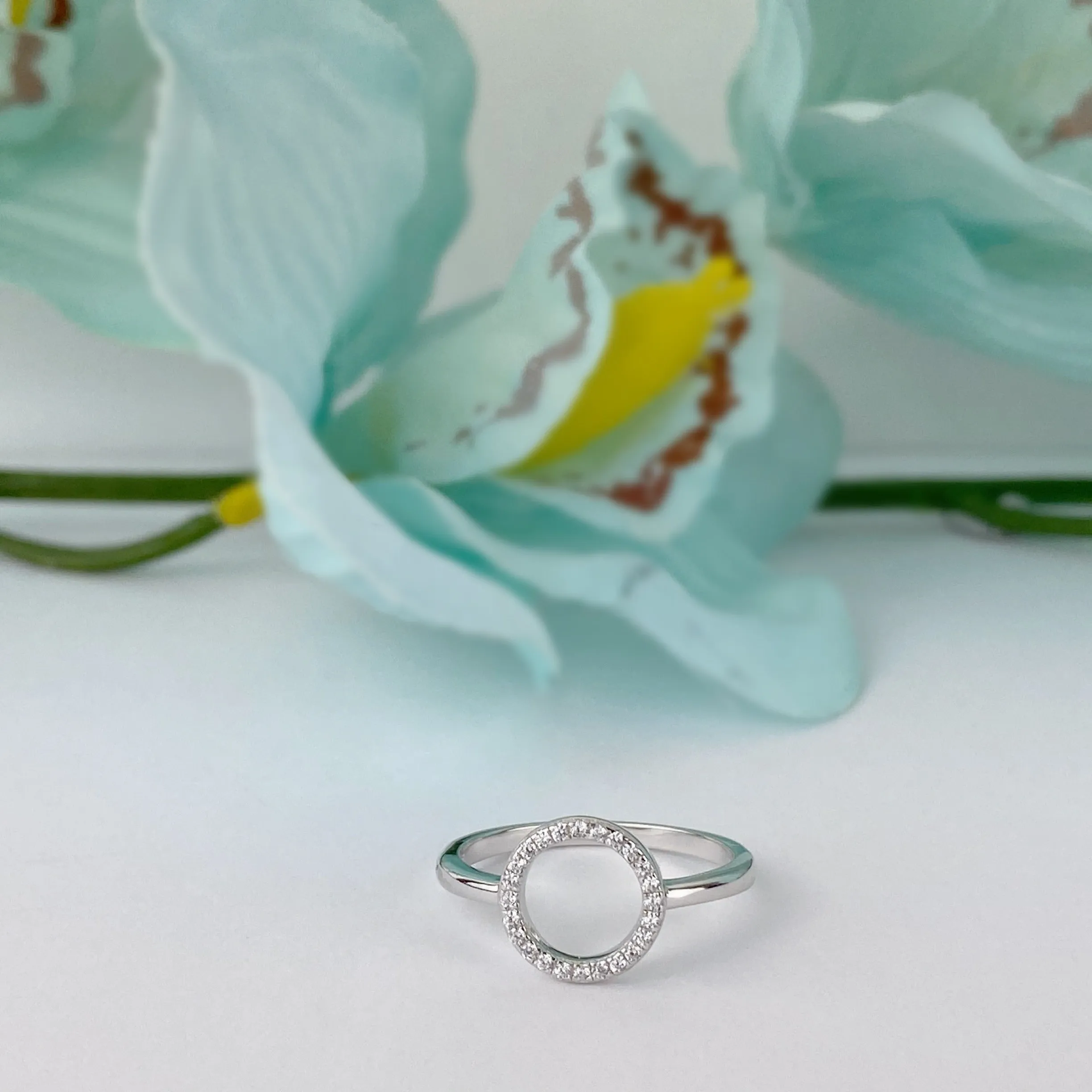 Circlet Sparkle Ring - SR2083