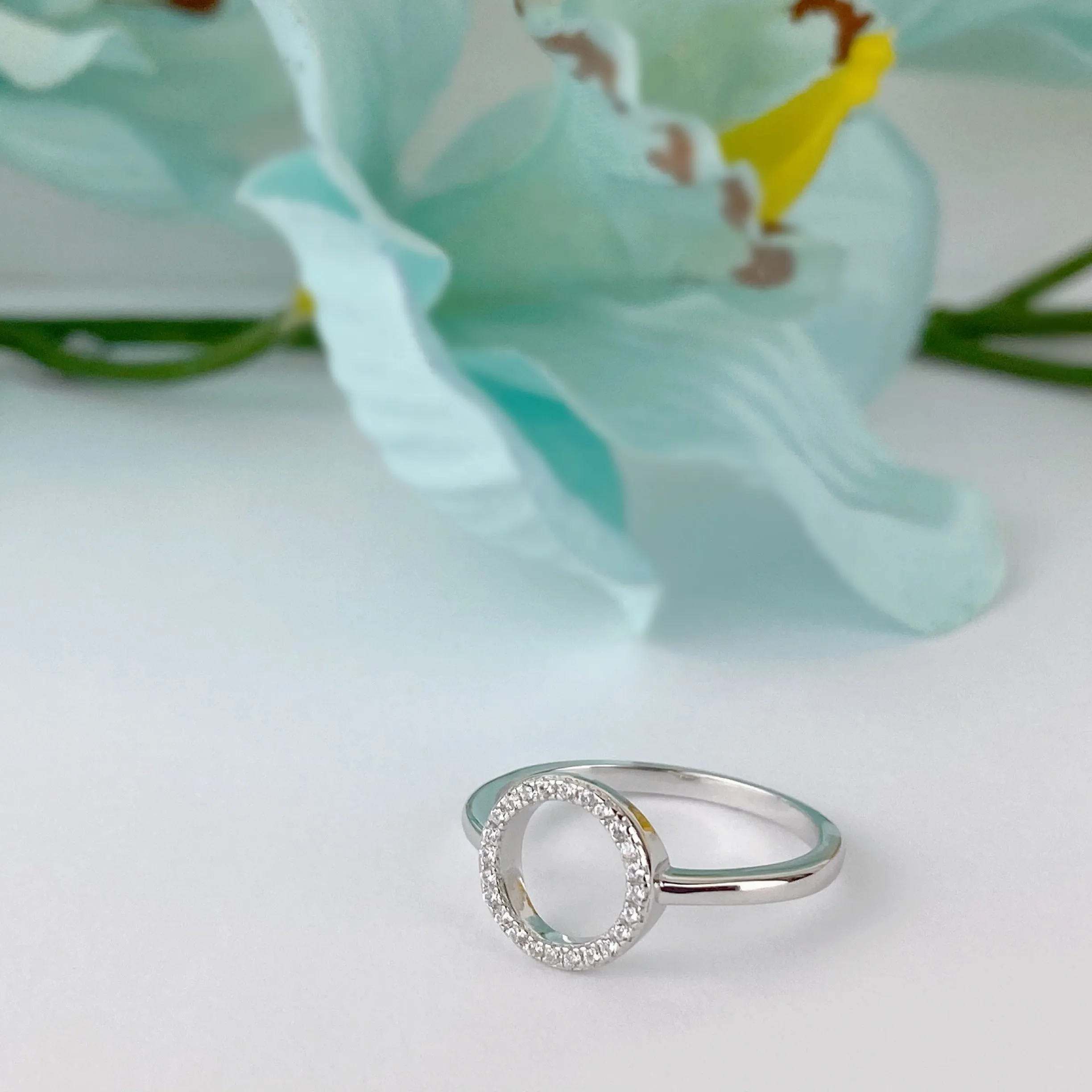 Circlet Sparkle Ring - SR2083