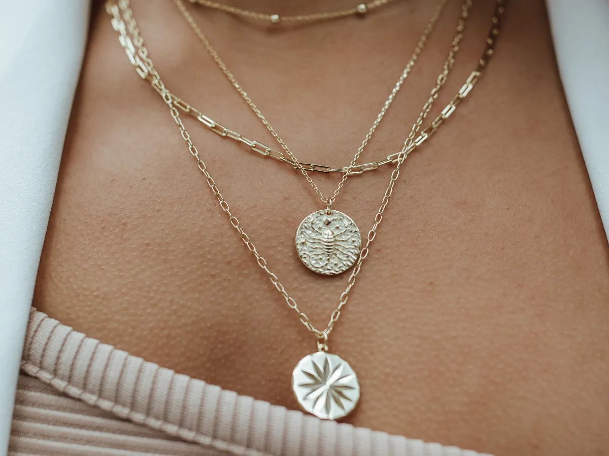 Leo Zodiac Coin Necklace